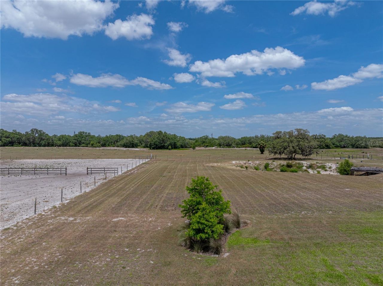 3805 Mammoth Grove Road, Lake Wales, FL 33898 Photo