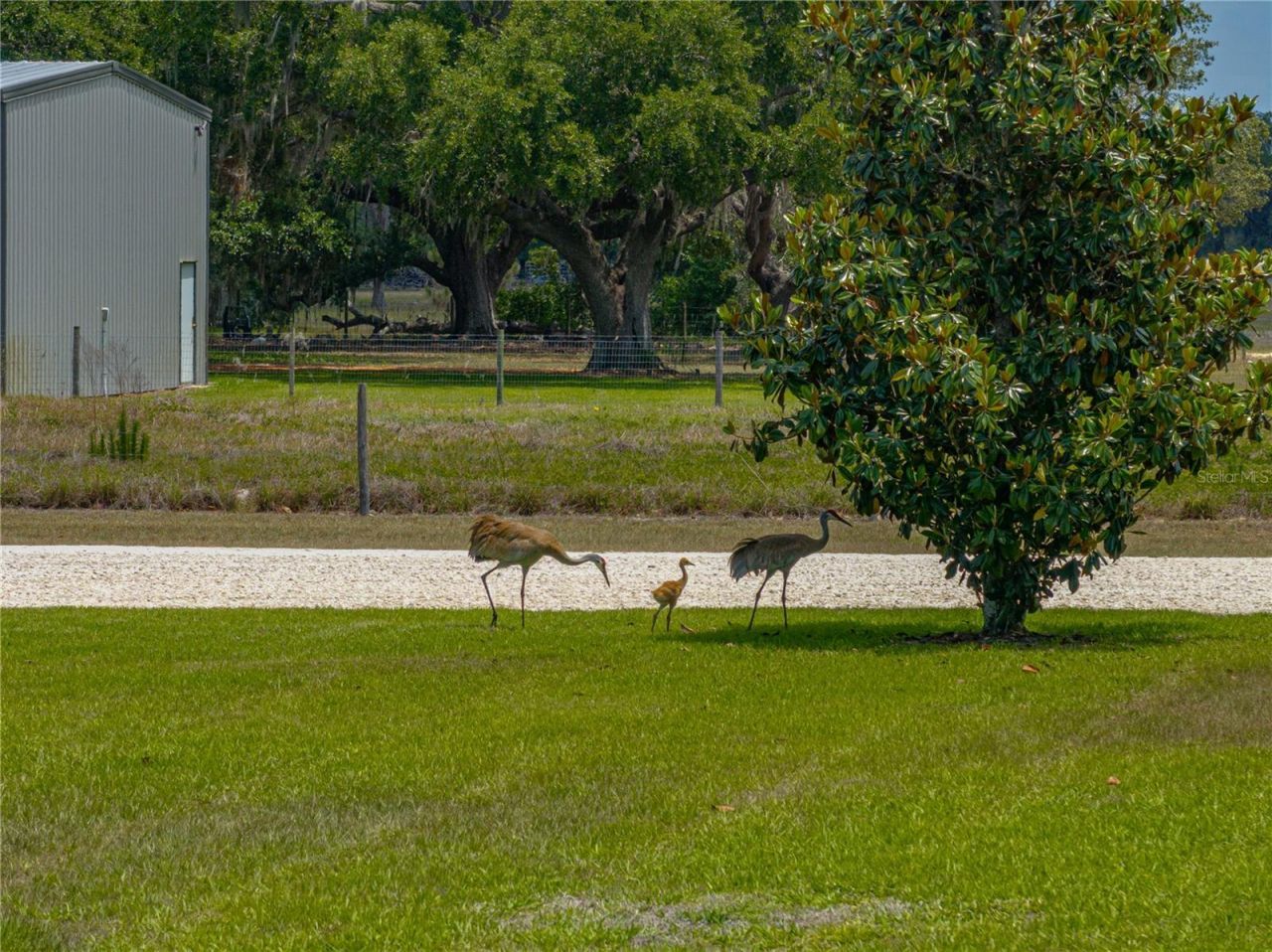 3805 Mammoth Grove Road, Lake Wales, FL 33898 Photo