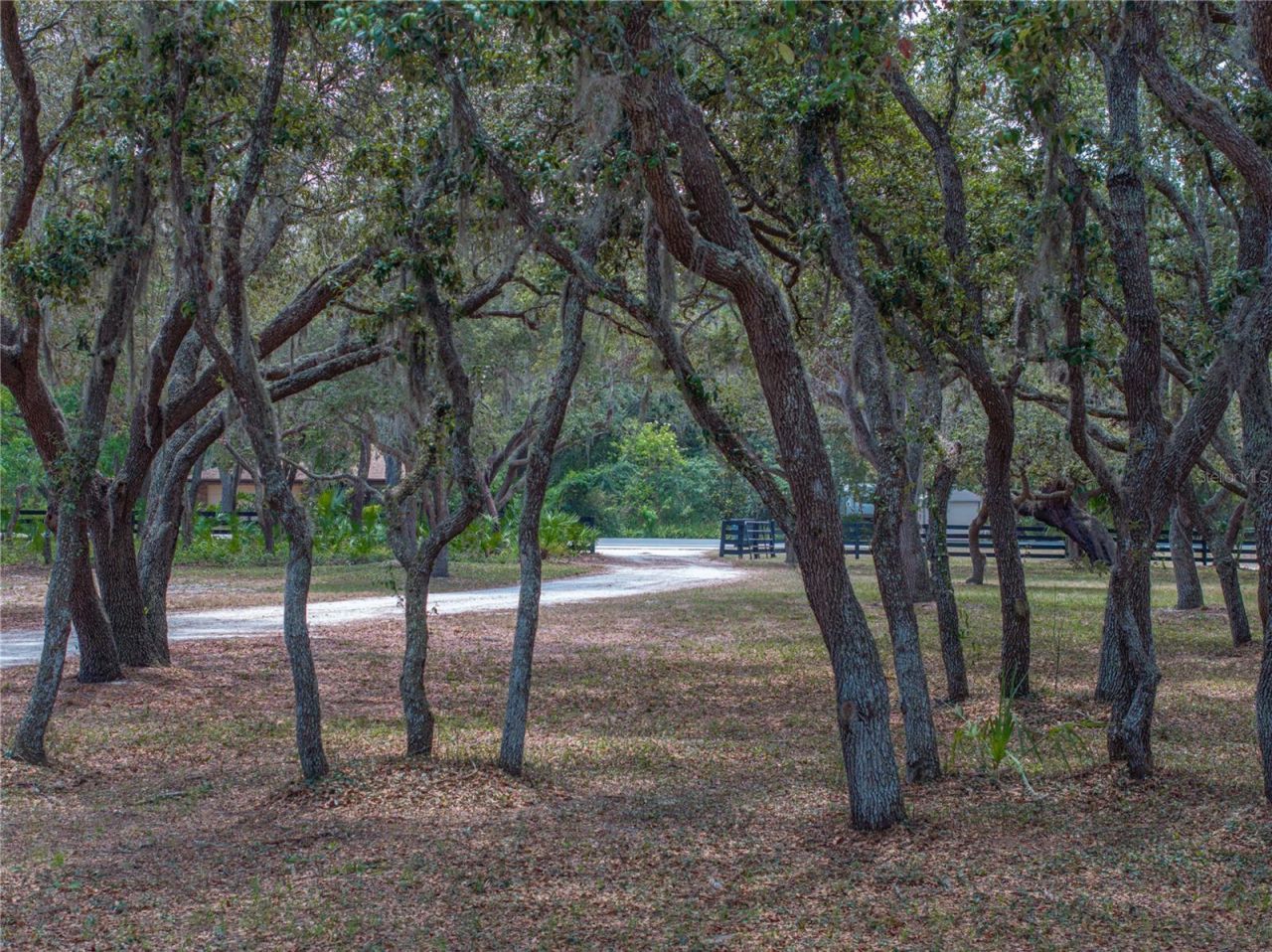 3805 Mammoth Grove Road, Lake Wales, FL 33898 Photo