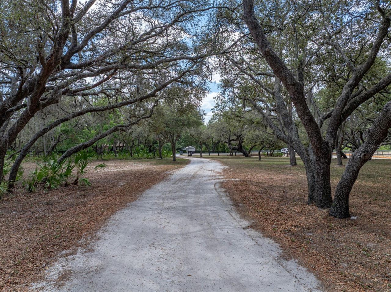 3805 Mammoth Grove Road, Lake Wales, FL 33898 Photo