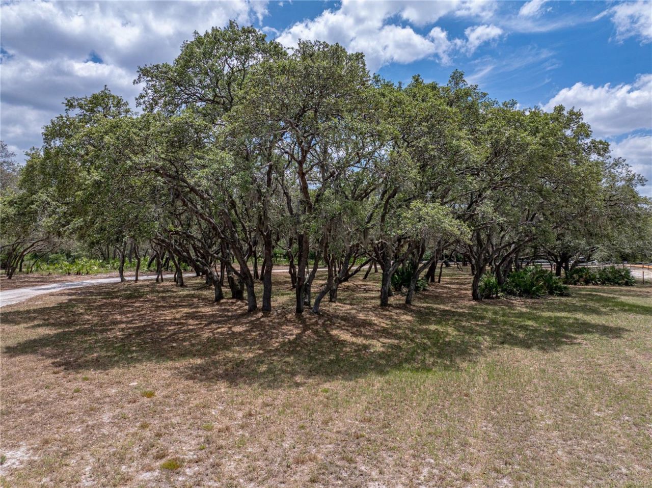 3805 Mammoth Grove Road, Lake Wales, FL 33898 Photo