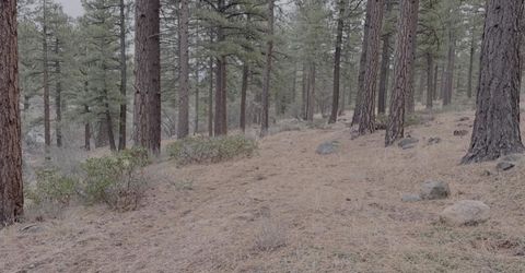 370 Abies Road, Lot #3, Reno, NV 89511 Photo