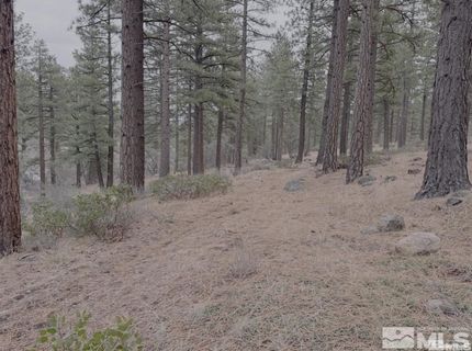 370 Abies Road, Lot #3, Reno, NV 89511 Photo