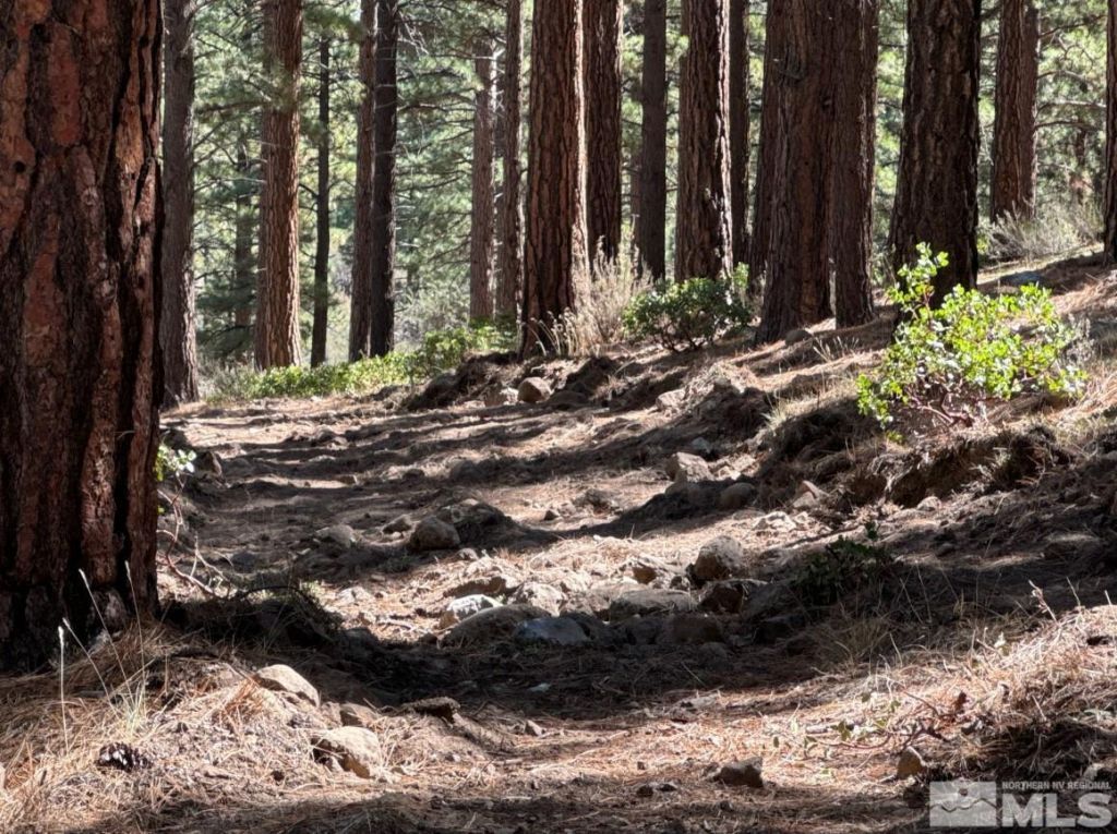 370 Abies Road, Lot #3, Reno, NV 89511 Photo