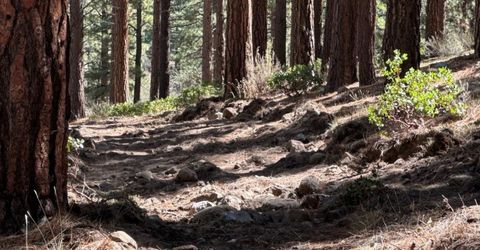 370 Abies Road, Lot #3, Reno, NV 89511 Photo