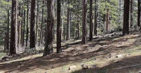 370 Abies Road, Lot #3, Reno, NV 89511 Photo