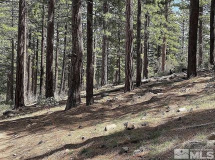 370 Abies Road, Lot #3, Reno, NV 89511 Photo