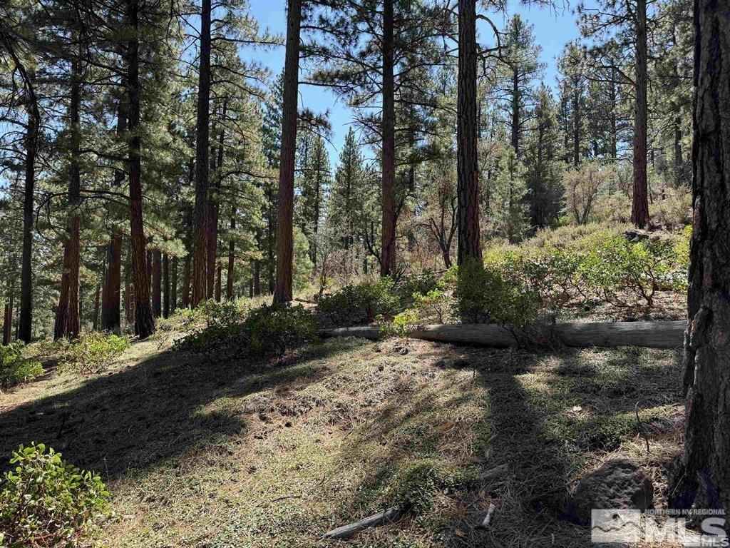 370 Abies Road, Lot #3, Reno, NV 89511 Photo