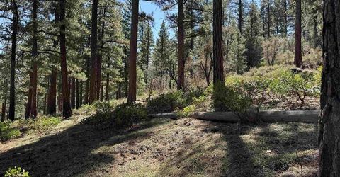 370 Abies Road, Lot #3, Reno, NV 89511 Photo