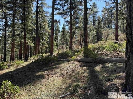 370 Abies Road, Lot #3, Reno, NV 89511 Photo