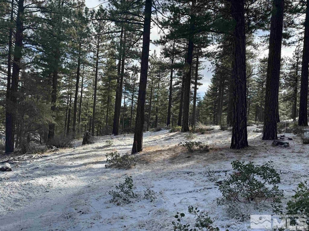 370 Abies Road, Lot #3, Reno, NV 89511 Photo