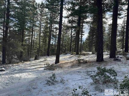 370 Abies Road, Lot #3, Reno, NV 89511 Photo