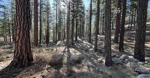 370 Abies Road, Lot #3, Reno, NV 89511 Photo