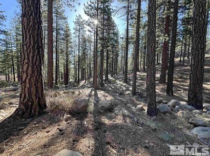 370 Abies Road, Lot #3, Reno, NV 89511 Photo