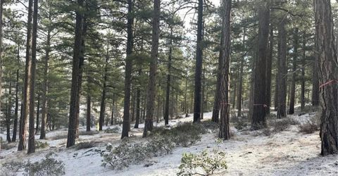 370 Abies Road, Lot #3, Reno, NV 89511 Photo