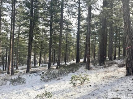 370 Abies Road, Lot #3, Reno, NV 89511 Photo