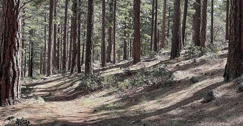 370 Abies Road, Lot #3, Reno, NV 89511 Photo