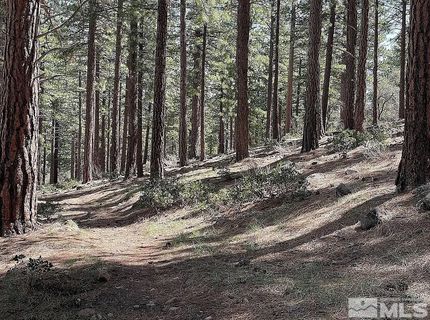 370 Abies Road, Lot #3, Reno, NV 89511 Photo