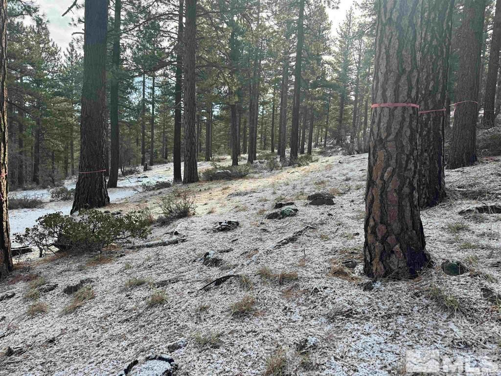 370 Abies Road, Lot #3, Reno, NV 89511 Photo