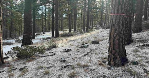 370 Abies Road, Lot #3, Reno, NV 89511 Photo