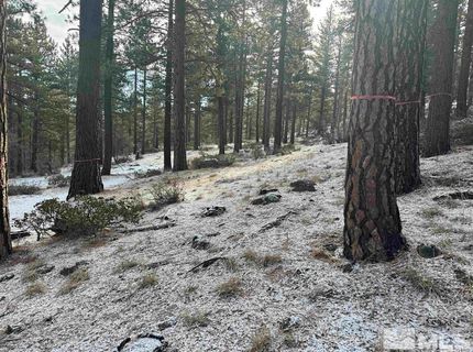 370 Abies Road, Lot #3, Reno, NV 89511 Photo