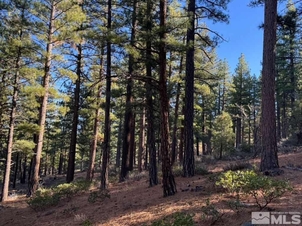 370 Abies Road, Lot #3, Reno, NV 89511 Photo