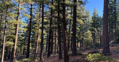 370 Abies Road, Lot #3, Reno, NV 89511 Photo