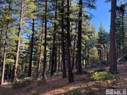 370 Abies Road, Lot #3, Reno, NV 89511 Photo
