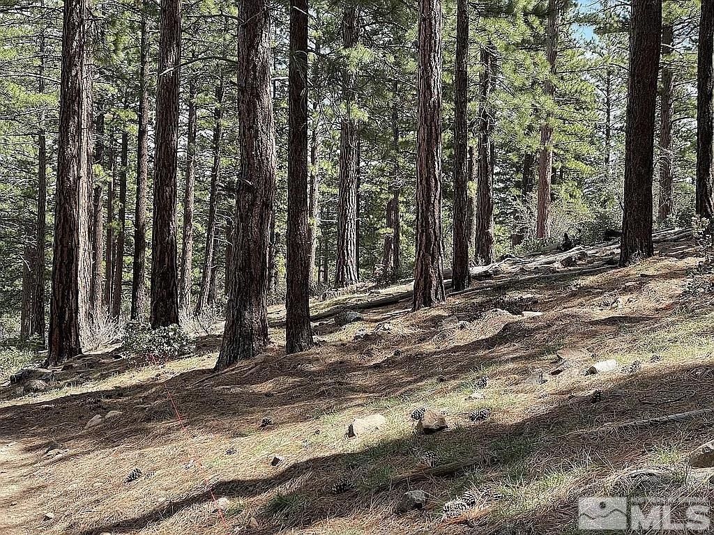 370 Abies Road, Lot #3, Reno, NV 89511 Photo