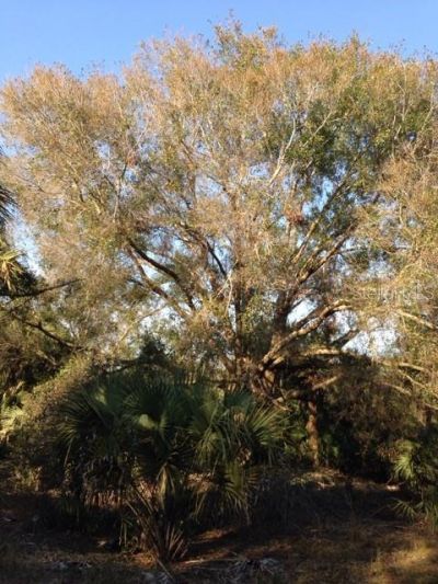 1901 Graham Road, Punta Gorda, FL 33982 Photo