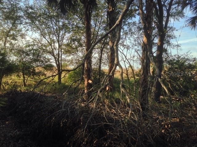 1901 Graham Road, Punta Gorda, FL 33982 Photo