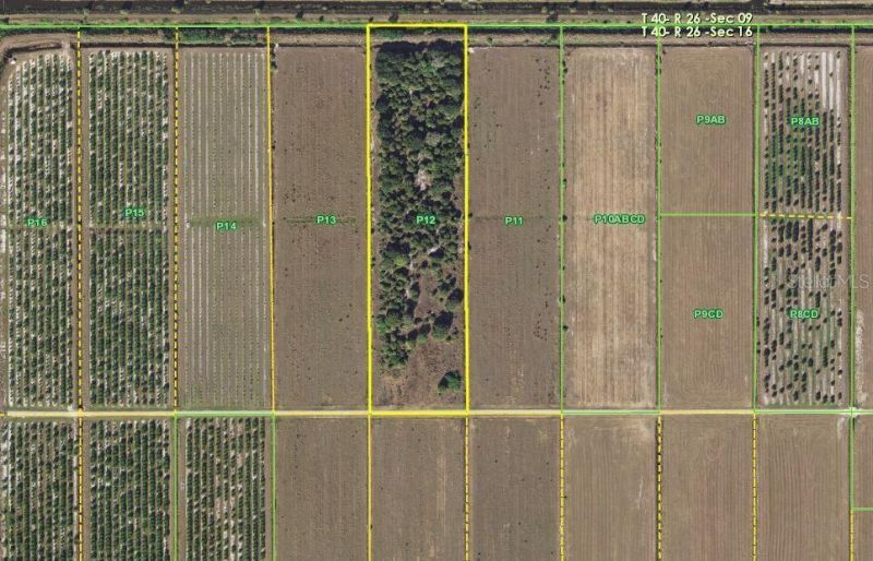 1901 Graham Road, Punta Gorda, FL 33982 Photo