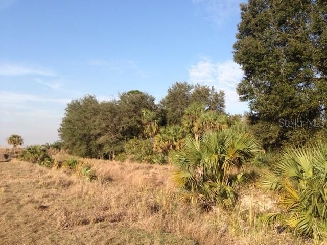 1901 Graham Road, Punta Gorda, FL 33982 Photo