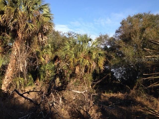 1901 Graham Road, Punta Gorda, FL 33982 Photo