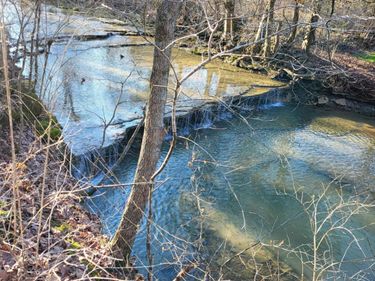 88 Persimmon Ridge Road, Carlisle, KY 40311