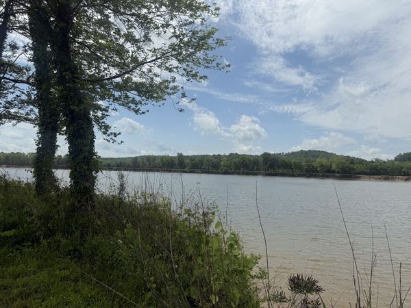 167 Hardin Bottom River Rd, Clifton, TN 38425