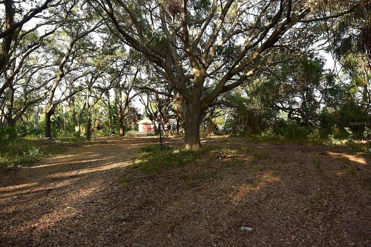 7610 Anna Avenue, Gibsonton, FL 33534 Photo