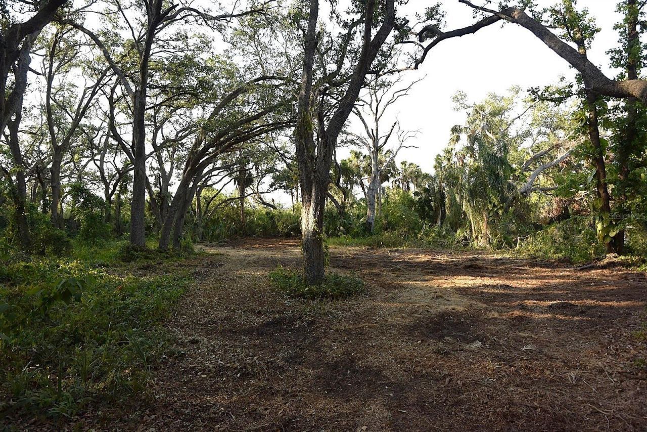 7610 Anna Avenue, Gibsonton, FL 33534 Photo