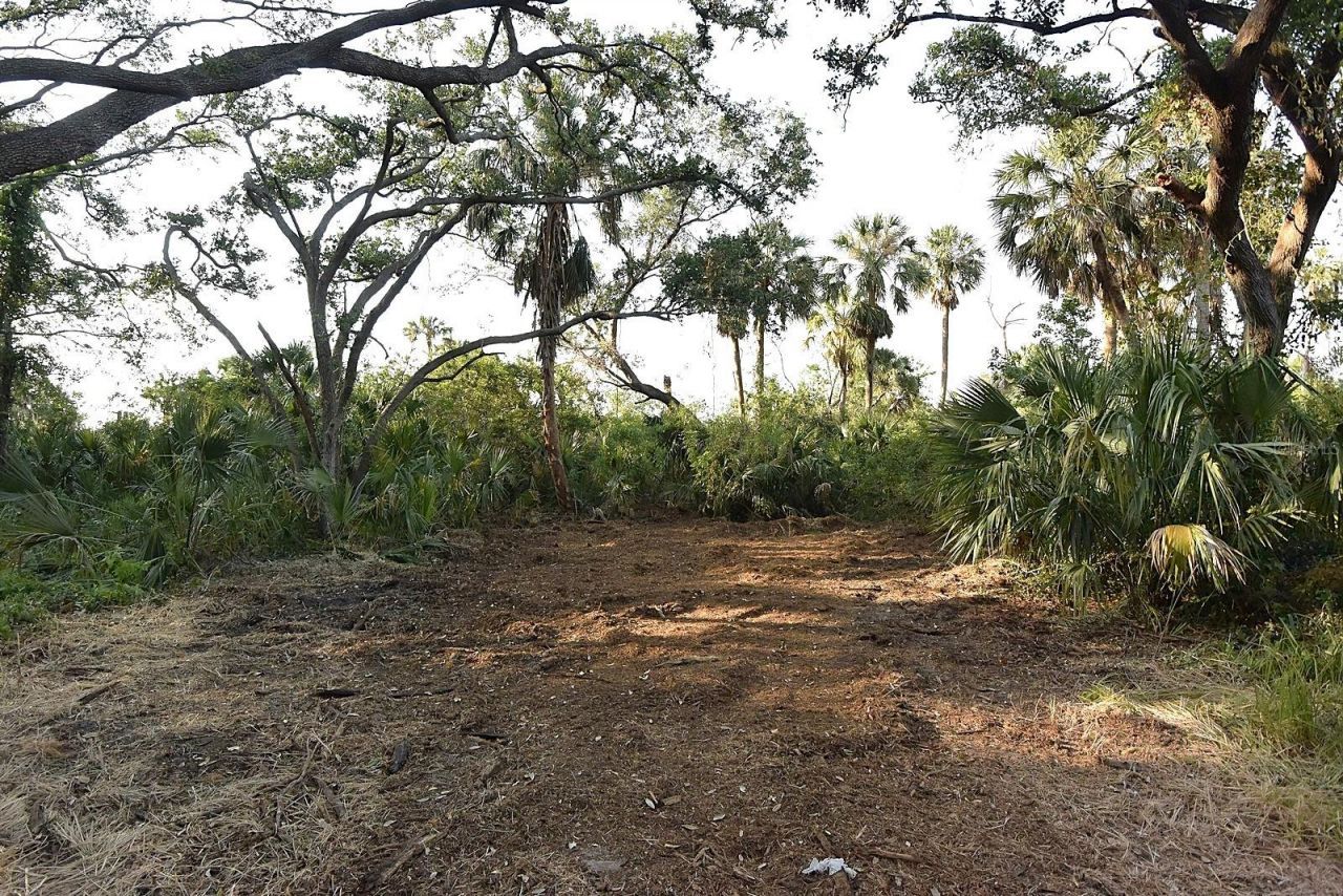 7610 Anna Avenue, Gibsonton, FL 33534 Photo