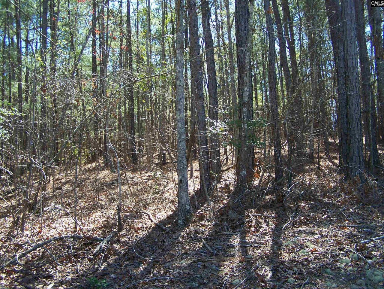 305 - 321 Dubard Boyle Road Photo 11