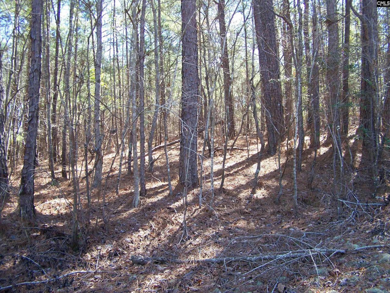 305 - 321 Dubard Boyle Road Photo 12