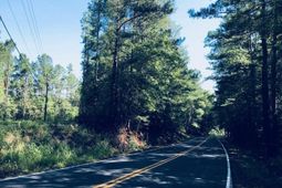 305 - 321 Dubard Boyle Road photo 4