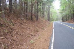 305 - 321 Dubard Boyle Road photo 4