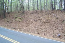 305 - 321 Dubard Boyle Road photo 4