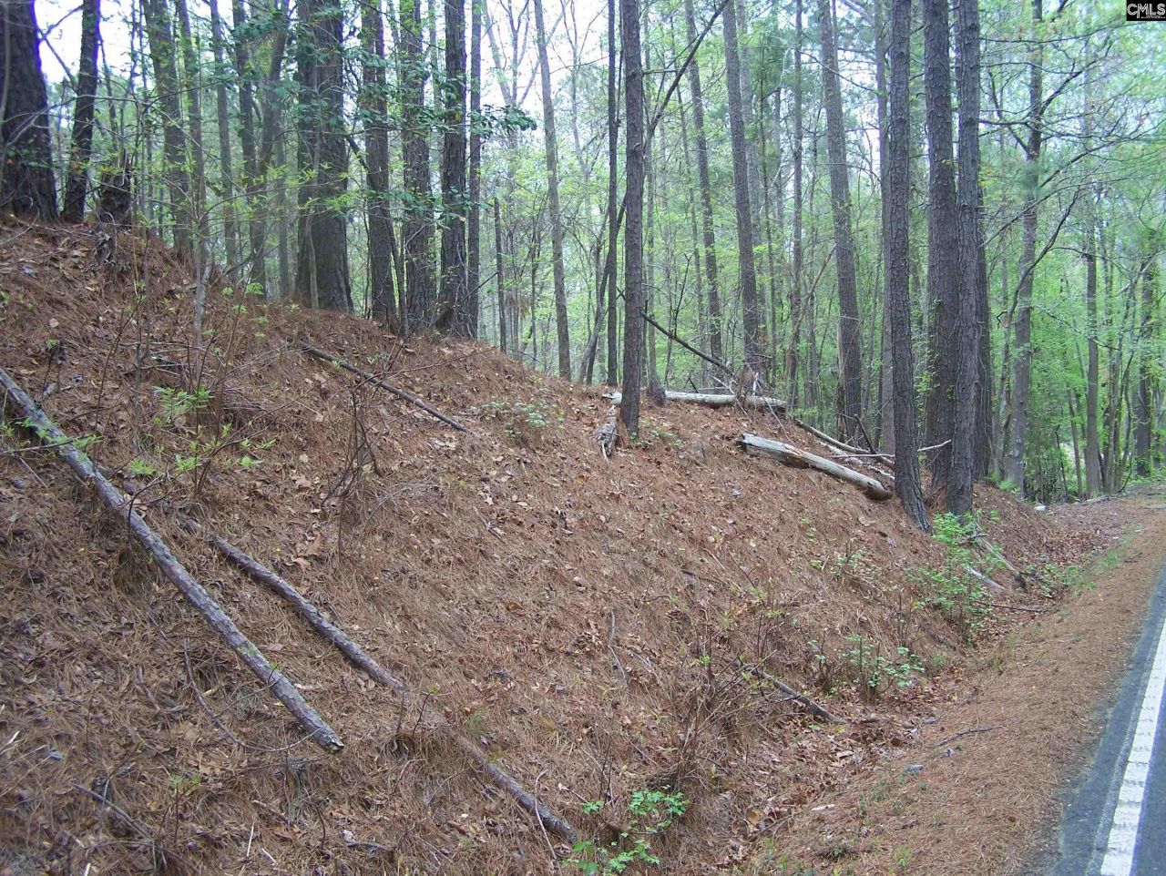 305 - 321 Dubard Boyle Road Photo 7