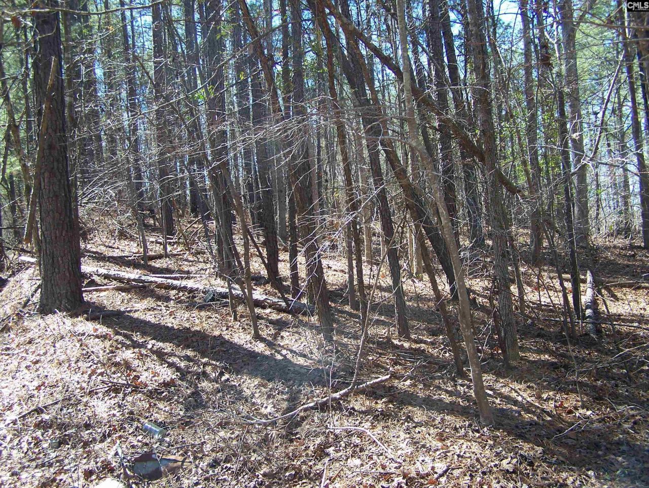 305 - 321 Dubard Boyle Road Photo 8