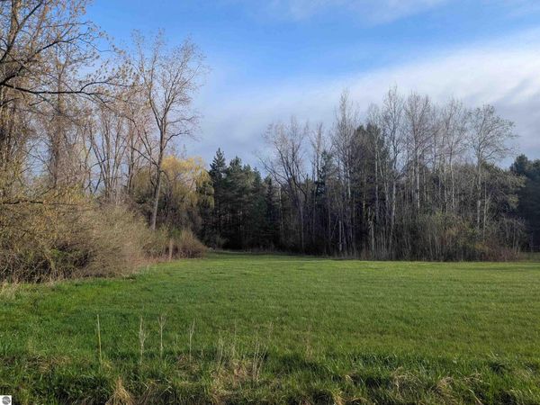 Pine Street, Omer, MI 48749