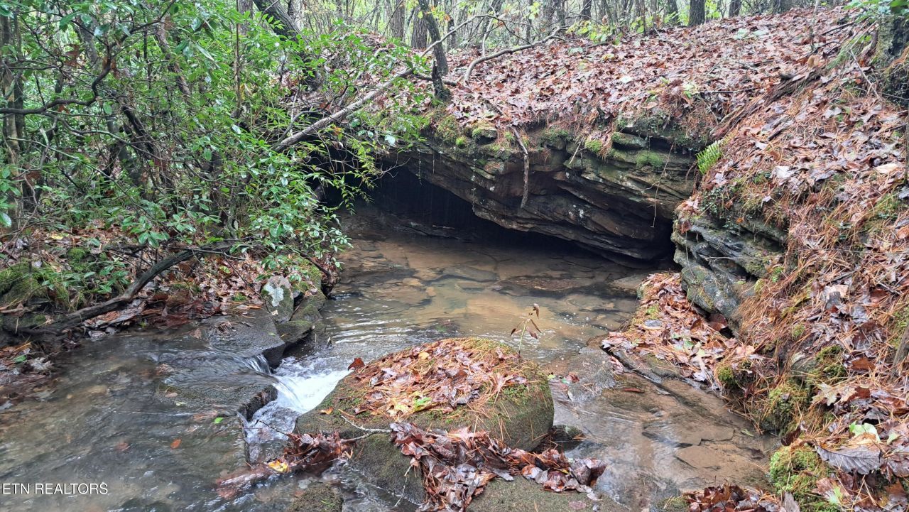 Airport Rd - Lot 23 (pca), Rockwood, TN 37854 Main Photo