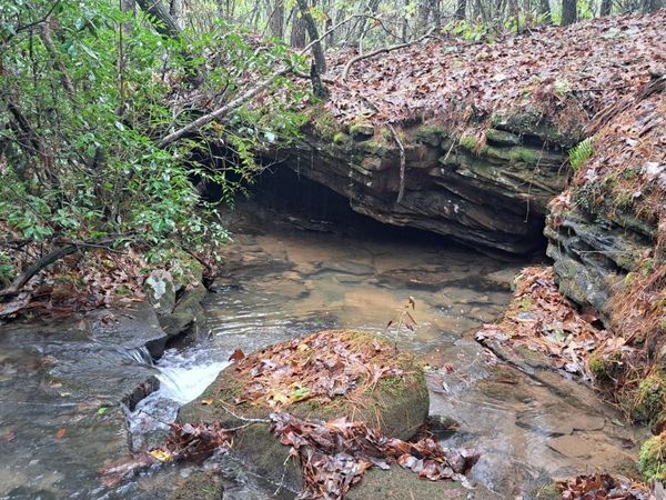 Airport Rd - Lot 23 (PCA), Rockwood, TN 37854