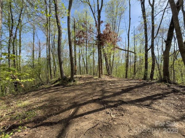 Lot 64 Big Springs Trail, Qualla, NC 28719